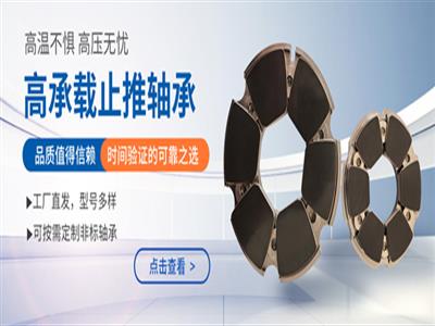 潜油电泵轴承